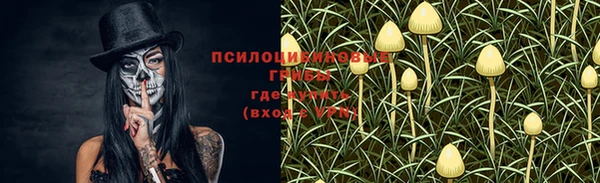 круглые Алексин