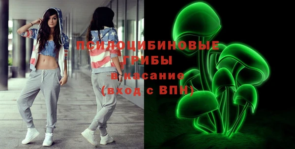дмт Алзамай